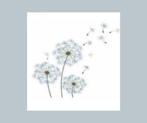 Tumbleweeds Counseling and Case Management Agency