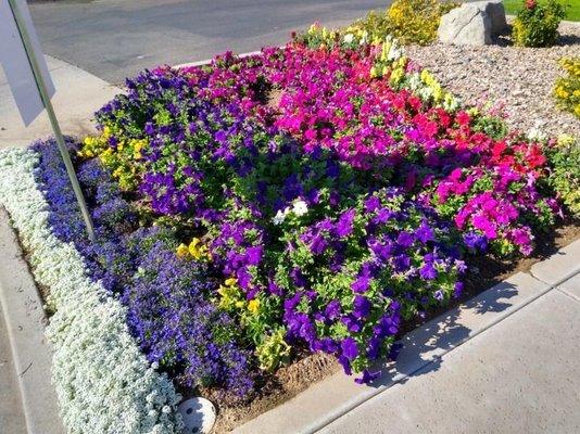 Pleasant Tree Landscaping