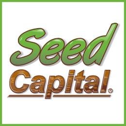 Business Loans by Seed Capital