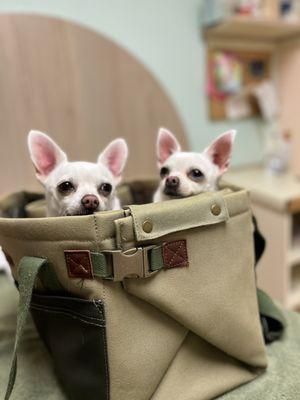 Marshmellow and Heaven