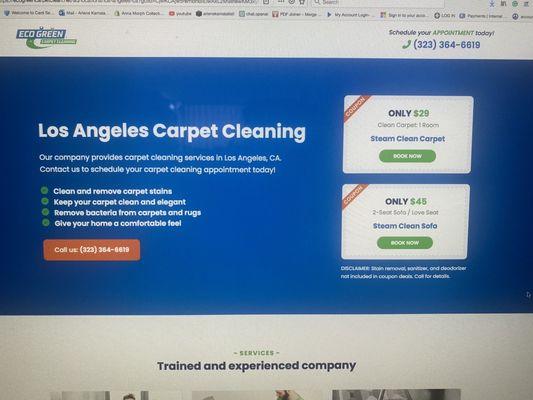 Eco Green Carpet Cleaning