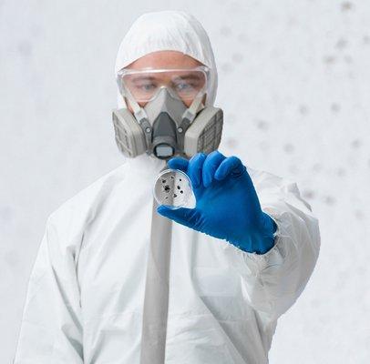 Licensed and professional Tucson mold inspectors.