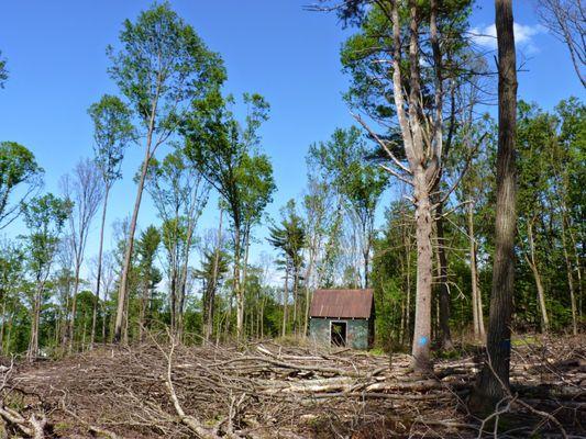 Denise Devine - Appraiser