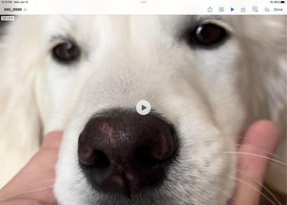 Ankeny Hill Resort and Boarding