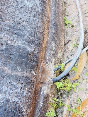 Power cord through sealed drain hole