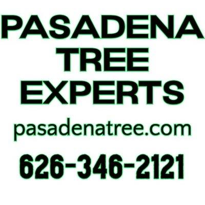 Pasadena Tree Experts