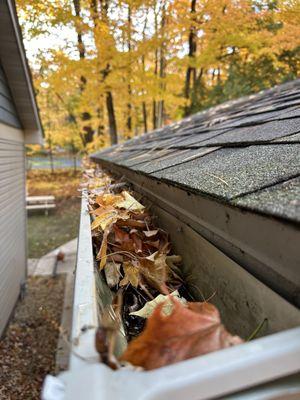 Synnott Outdoor Services