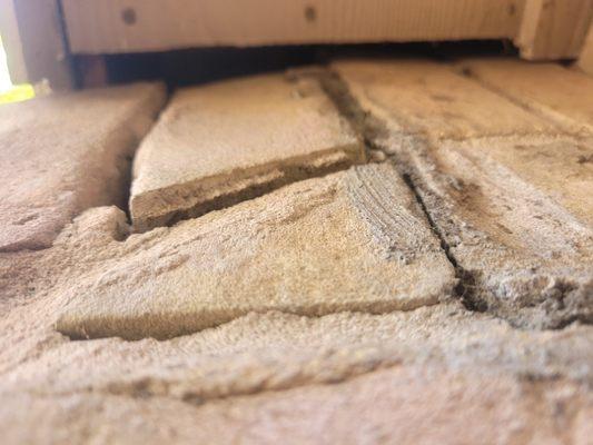 North America Pest & Termite