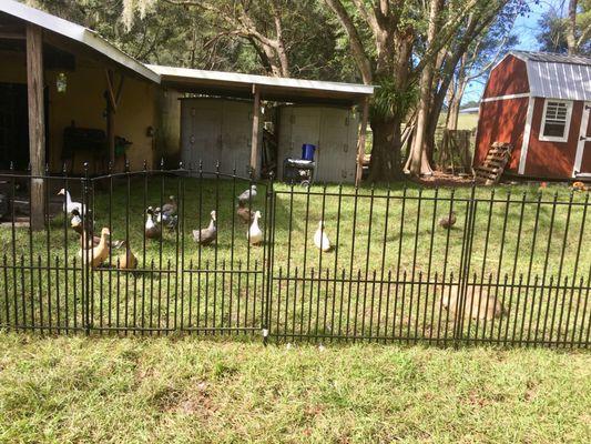 Dade City Sod & Landscaping