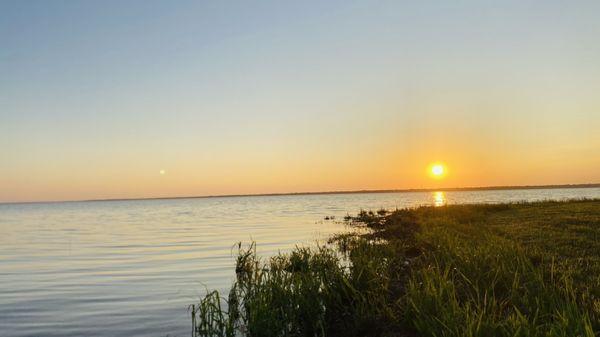 Bois D’Arc Lake Honey Cove