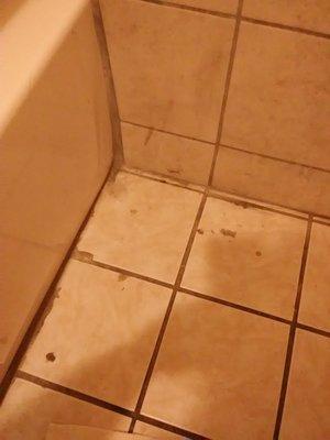 Gross, no clue what that is.