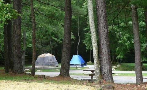 Raccoon Branch Campground