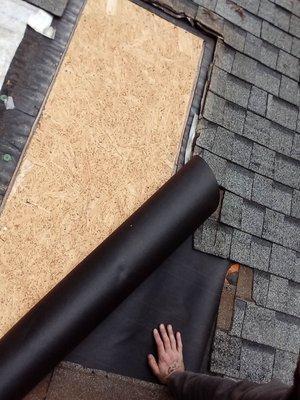 Home And Lawn Maintenance And Repair