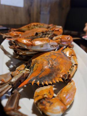 1/2 dozen Blue Crabs 9.9.22