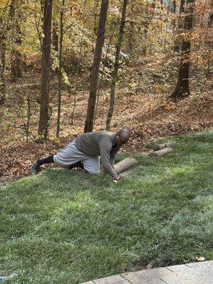 The Real Green Thumb