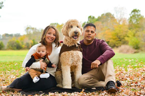 Dog Training Solutions