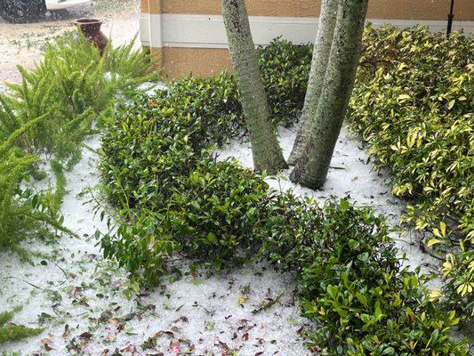 Honey Pot Wax Studio