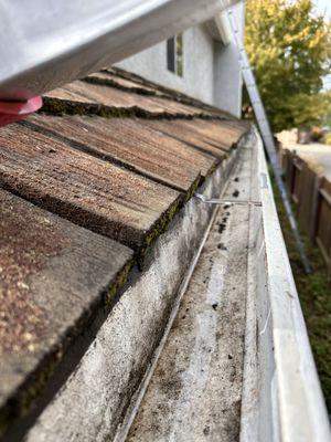 Rooftop View Gutter & Window
