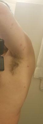 Fairfield Inn and Suites Marriot