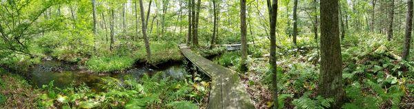 Absolutely beautiful.