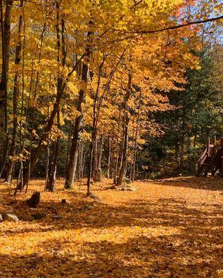 Brewster River Campground
