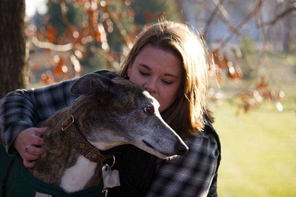 Pitter-Patter Pet Care