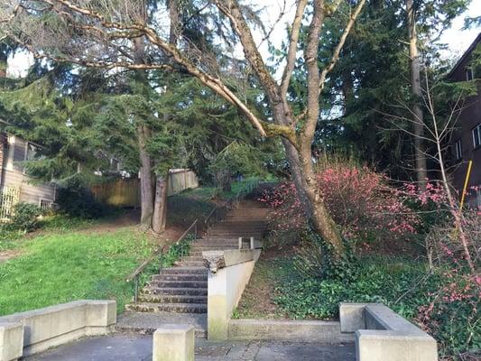 Horton Hill Corridor