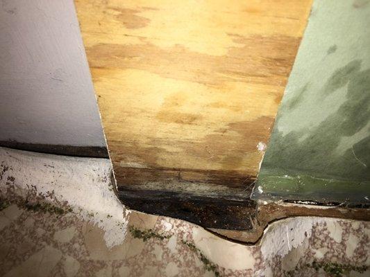 Fox Theater Event Center