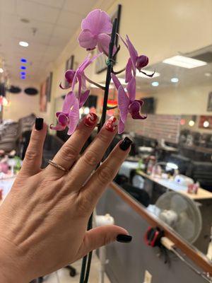 Nail Shop