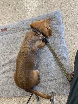 In class, practicing staying in place