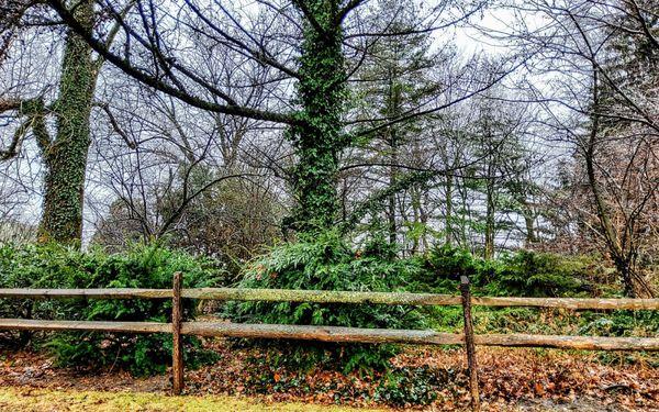 Sharpe Park and Bird Sanctuary