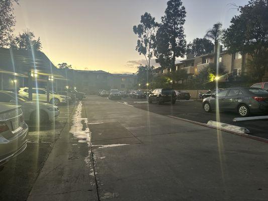 Elan Scripps Terrace