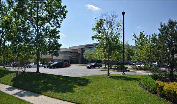 Champion Rehabilitation