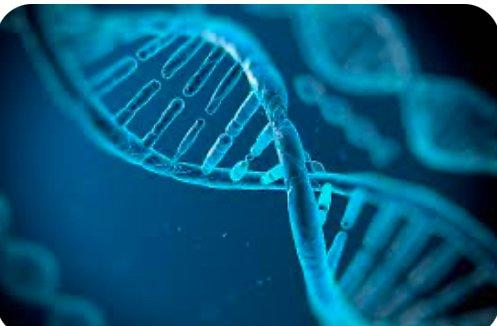 Aadvantage Lab Testing