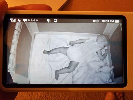 Carol Hahl Real Estate Services