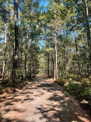 Tillie K Fowler Regional Park