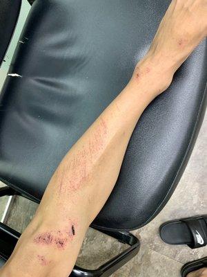 Legacy-GoHealth Urgent Care