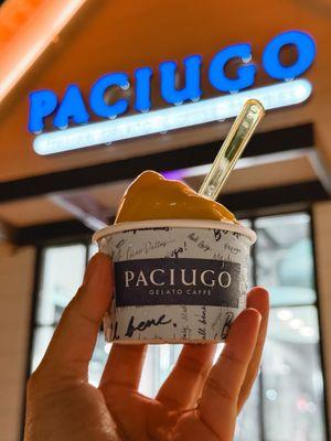 Paciugo Gelato Caffe