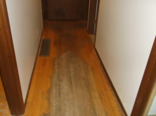 Del Hardwood Floors