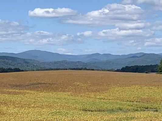 Central Virginia Mobile Repairs