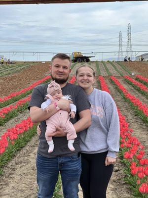 Quality Fixes Handyman Remodel