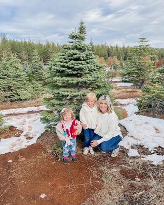 Snowy Peaks Tree Farm