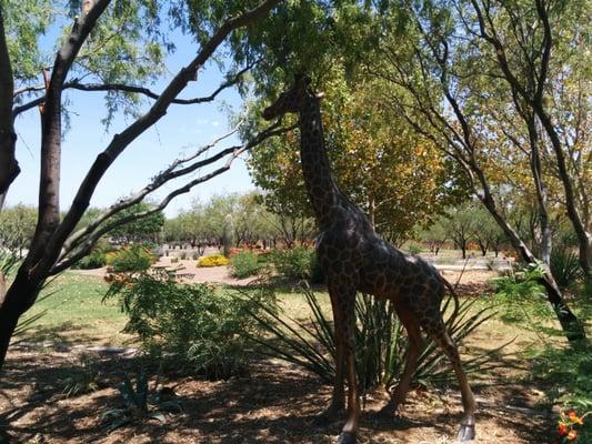 El Parque de Rio Safari Park
