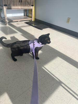 Gallardo Family Animal Hospital