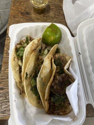 Carnita tacos