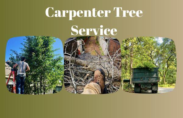 Carpenter Tree Service