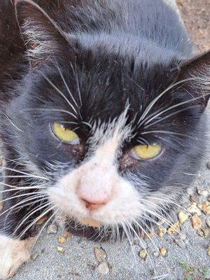 Groves Veterinary Clinic