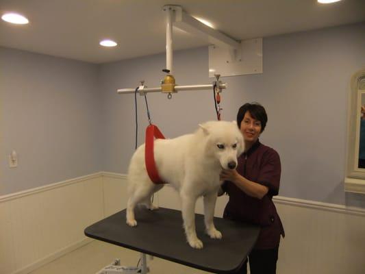 Ges with warm hearted "Ice"