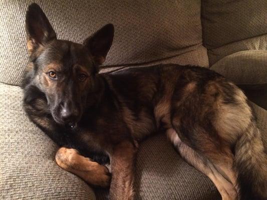 Andrew W. Jenison, DC