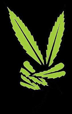 Rowe's CBD/THC Dispensary Logo